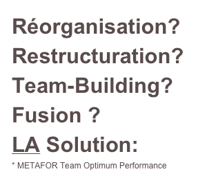 Réorganisation?
Restructuration?
Team-Building?
Fusion ?
LA Solution:
* METAFOR Team Optimum Performance